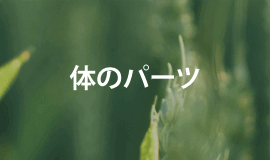 体のパーツのロゴ