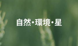 自然・エコのロゴデザイン作成