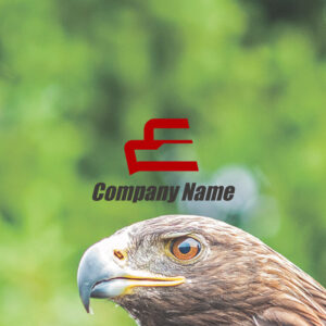 Thumbnail of post image 065
