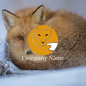 Thumbnail of post image 090