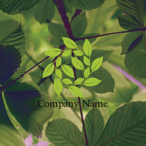 Thumbnail of post image 086
