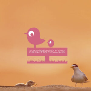 Thumbnail of post image 048
