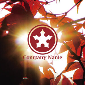 Thumbnail of post image 133