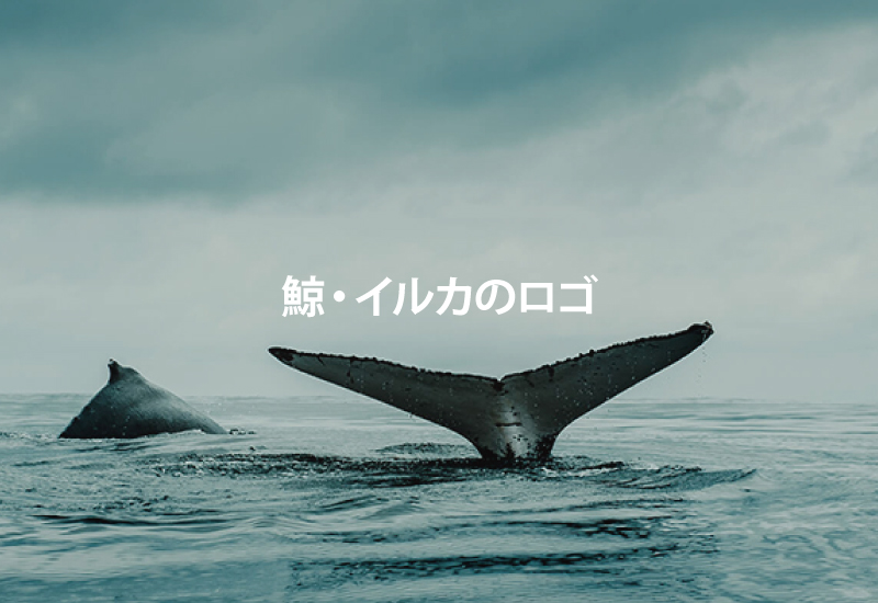 鯨ロゴのイメージ写真
