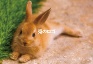 ウサギのロゴ特集画像
