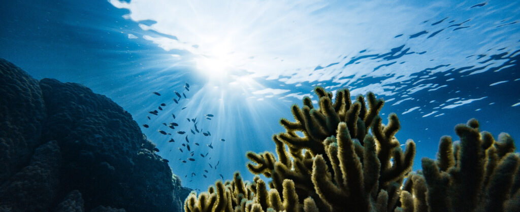 海と魚と青い地球のロゴ-海中から空をのぞく