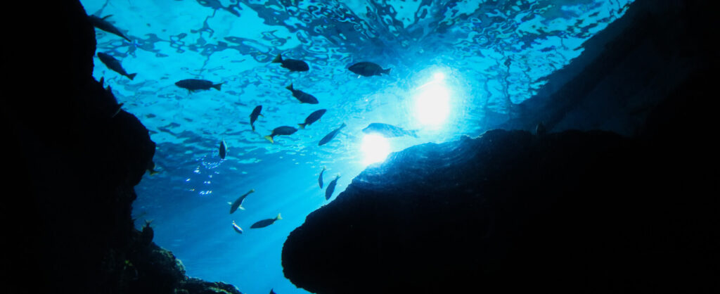 海と魚と青い地球のロゴ-海の中のイメージ