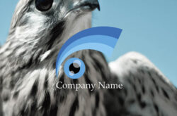 虹と鷹の目ロゴ0180