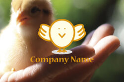 ひよこ ロゴデザイン0366