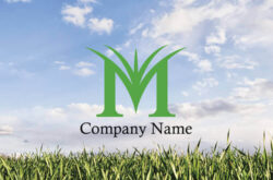 ナチュラルロゴ Mのデザイン0893