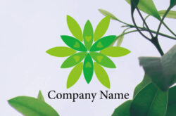 植物ロゴ 葉っぱデザイン0997