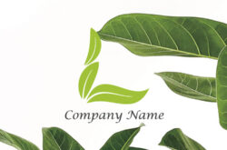 ローマ字ロゴ L01059