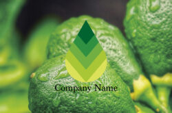 葉っぱロゴ グラデーションデザイン01244