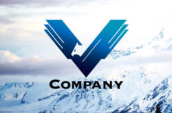 Vロゴ 鷹のデザイン01614