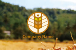 麦・稲の農業ロゴ01675