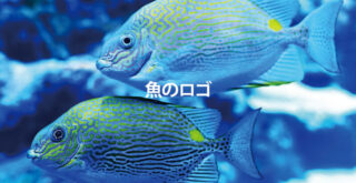 魚 ロゴ-魚のイメージ写真