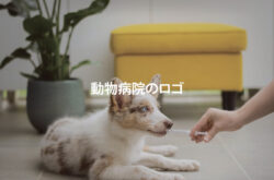 動物病院のロゴ