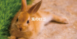ウサギのロゴ特集画像